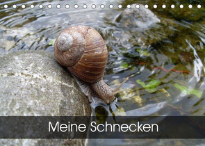 Meine SchneckenAT-Version (Tischkalender 2023 DIN A5 quer) von Schlüfter,  Elken