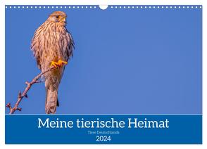 Meine tierische Heimat (Wandkalender 2024 DIN A3 quer), CALVENDO Monatskalender von ellenlichtenheldt,  ellenlichtenheldt