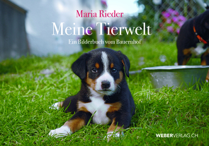 Meine Tierwelt von Rieder,  Maria