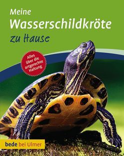 Meine Wasserschildkröte zu Hause von Gorf,  Tina, Schneider,  Eva-Grit