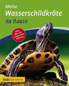 Meine Wasserschildkröte zu Hause von Gorf,  Tina, Schneider,  Eva-Grit