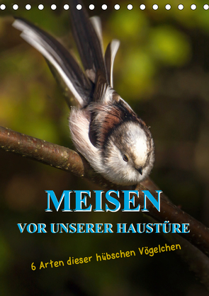 Meisen vor unserer Haustüre (Tischkalender 2021 DIN A5 hoch) von Herbolzheimer,  Carl-Peter