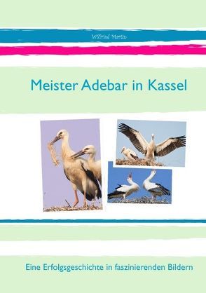 Meister Adebar in Kassel von Martin,  Wilfried