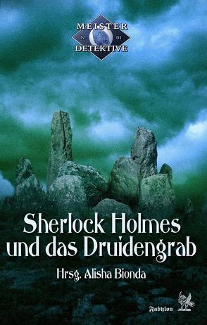 Meisterdetektive / Sherlock Holmes und das Druidengrab von Bätz,  Volker, Bern,  Tanja, Bionda,  Alisha, Bracht,  Anke, Büchner,  Barbara, Carpenter,  Tanya, Flögel,  Andreas, Hoese,  Desirée, Krain,  Guido, Prescher,  Sören, Scapari,  Ramón, Voss,  Vincent, Walter,  K. Peter