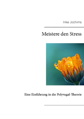 Meistere den Stress von Jochims,  Inke