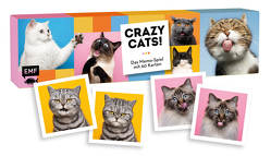 Memo-Spiel: Crazy cats!