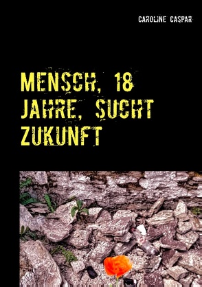 Mensch, 18 Jahre, sucht Zukunft von Caspar,  Caroline