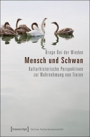 Mensch und Schwan von Bei der Wieden,  Brage