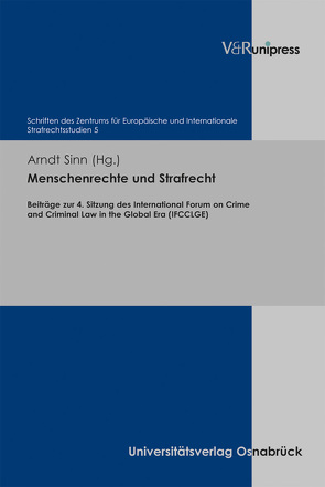 Menschenrechte und Strafrecht von Beck,  Susanne, Golovnenkov,  Pavel, Heger,  Martin, Hellmann,  Uwe, Petzsche,  Anneke, Rosenau,  Henning, Sinn,  Arndt, Stage,  Diana, Wörner,  Liane