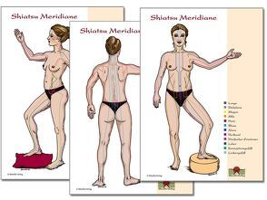 Meridiane 3 Shiatsu Meridian Schaubilder DIN A2 von Loh,  Nirgun W., Palitzsch-Schulz,  Aruna, Sievers,  Sakina K.