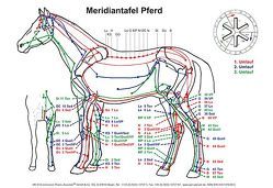 Meridiantafel Pferd von Krause,  Ingrid Uta