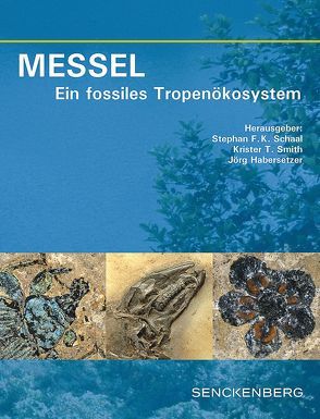 MESSEL – Ein fossiles Tropenökosystem von Habersetzer,  Jörg, Schaal,  Stephan F. K., Smith,  Krister T.