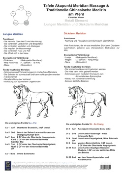 Metall Element. Lungen und Dickdarm Meridian. von Winter,  Christian