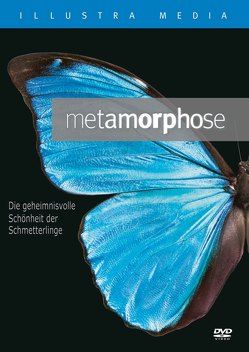 Metamorphose von Allen,  Lad