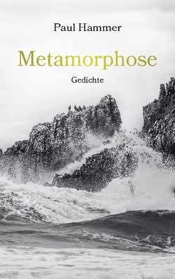 Metamorphose von Hammer,  Paul