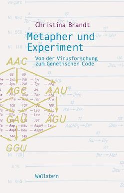 Metapher und Experiment von Brandt,  Christina