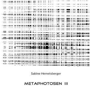 Metaphotosen III von Hemetsberger,  Sabine