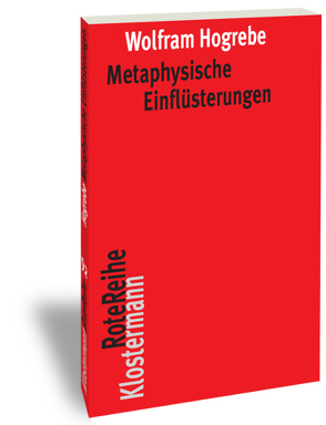 Metaphysische Einflüsterungen von Hogrebe,  Wolfram