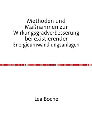 Methoden und Maßnahmen zur Wirkungsgradverbesserung bei existierender Energieumwandlungsanlagen von Boche,  Lea