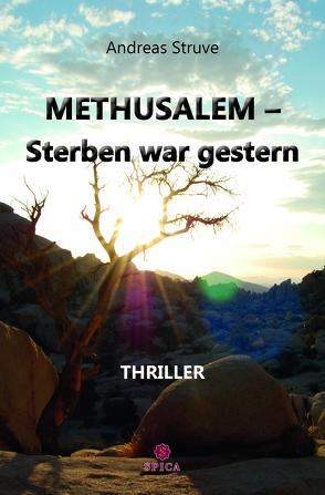 METHUSALEM-Sterben war gestern von Struve,  Andreas