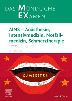 MEX Das Mündliche Examen – AINS von Töpfer,  Lars