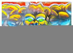 Miami Graffiti (Wandkalender 2024 DIN A2 quer), CALVENDO Monatskalender von Styppa,  Robert