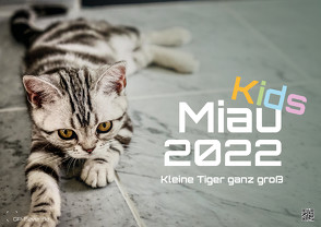 Miau Kids – kleine Tiger ganz groß – Der Katzenkalender – 2022 – Kalender DIN A3