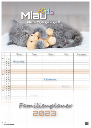 Miau Kids – kleine Tiger ganz groß – Der Katzenkalender – 2023 – Kalender DIN A3 – (Familienplaner) von GP-Fever.de