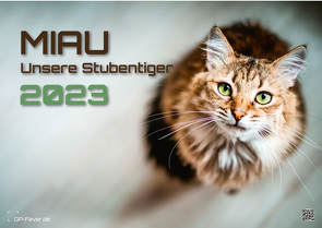 Miau – Unsere Stubentiger – Der Katzenkalender – 2023 – Kalender DIN A2 von GP-Fever.de