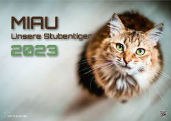 Miau – Unsere Stubentiger – Der Katzenkalender – 2023 – Kalender DIN A3 von GP-Fever.de