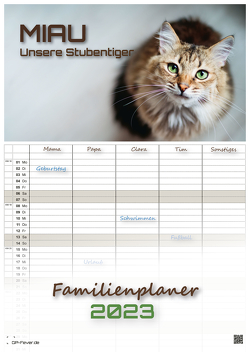 Miau – Unsere Stubentiger – Der Katzenkalender – 2023 – Kalender DIN A3 – (Familienplaner) von GP-Fever.de