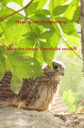 Mica der kleine Turmfalke erzählt von Hungenberg,  Hans- Josef