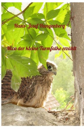 Mica der kleine Turmfalke erzählt von Hungenberg,  Hans- Josef