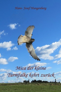 Mica der kleine Turmfalke kehrt zurück von Hungenberg,  Hans- Josef