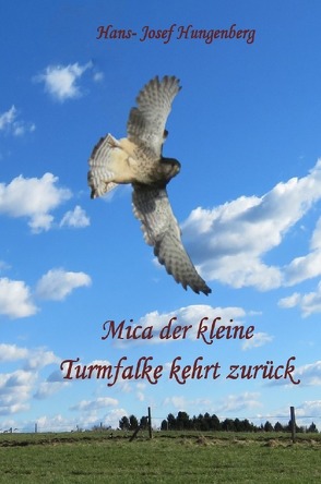 Mica der kleine Turmfalke kehrt zurück von Hungenberg,  Hans- Josef