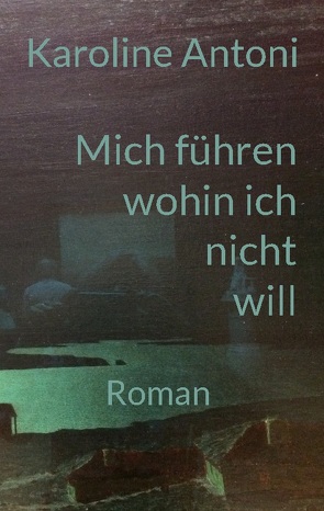 Mich führen, wohin ich nicht will von Antoni,  Karoline