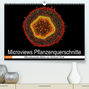 Microviews – Pflanzenquerschnitte (Premium, hochwertiger DIN A2 Wandkalender 2023, Kunstdruck in Hochglanz) von Vlcek,  Gerhard