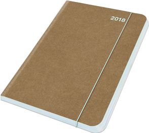 Midi Flexi Diary ColourLine ICE 2018