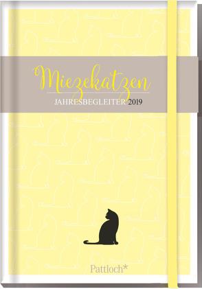 Miezekatzen – Buchkalender 2019