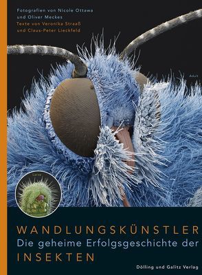 Wandlungskünstler. Die geheime Erfolgsgeschichte der Insekten von Lieckfeld,  Claus-Peter, Meckes,  Oliver, Ottawa,  Nicole, Straaß,  Veronika