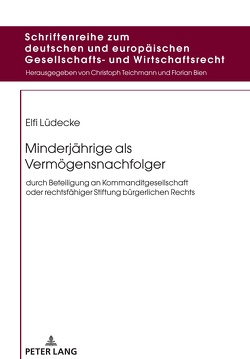 Minderjährige als Vermögensnachfolger von Lüdecke,  Elfi