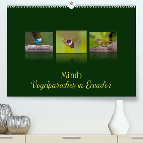 Mindo, Vogelparadies in Ecuador (Premium, hochwertiger DIN A2 Wandkalender 2021, Kunstdruck in Hochglanz) von Schulz,  Eerika