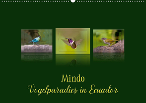 Mindo, Vogelparadies in Ecuador (Wandkalender 2021 DIN A2 quer) von Schulz,  Eerika