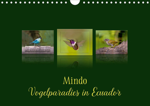 Mindo, Vogelparadies in Ecuador (Wandkalender 2021 DIN A4 quer) von Schulz,  Eerika