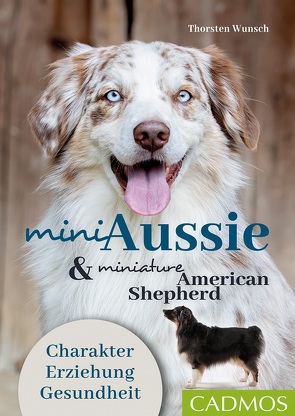 Mini Aussie und Miniature American Shepherd von Wunsch,  Thorsten