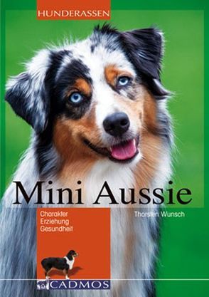 Mini-Aussie von Wunsch,  Thorsten