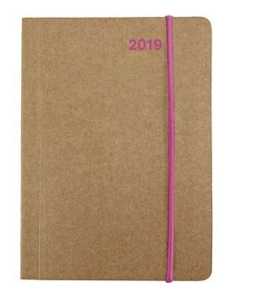 Mini Flexi Diary ColourLine PINK 2019