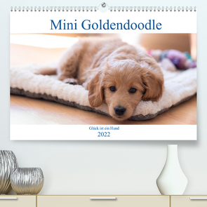 Mini Goldendoodle – Glück ist ein Hund (Premium, hochwertiger DIN A2 Wandkalender 2022, Kunstdruck in Hochglanz) von Schulz,  Stephan