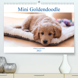 Mini Goldendoodle – Glück ist ein Hund (Premium, hochwertiger DIN A2 Wandkalender 2023, Kunstdruck in Hochglanz) von Schulz,  Stephan