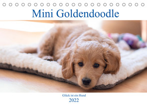 Mini Goldendoodle – Glück ist ein Hund (Tischkalender 2022 DIN A5 quer) von Schulz,  Stephan